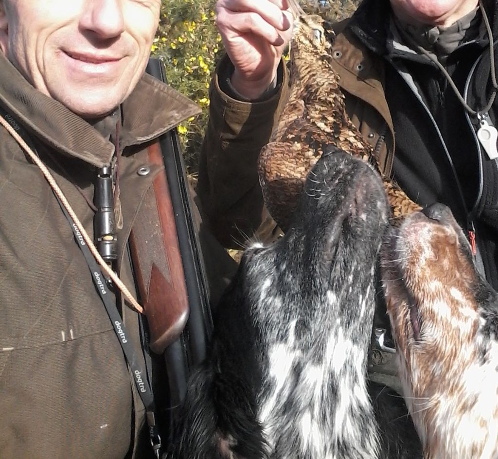 Des Berges De L'illet - Chasse bécasse