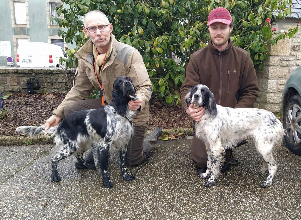 Des Berges De L'illet - Test d'Aptitudes à la chasse sur bécasse Scrignac (29) 