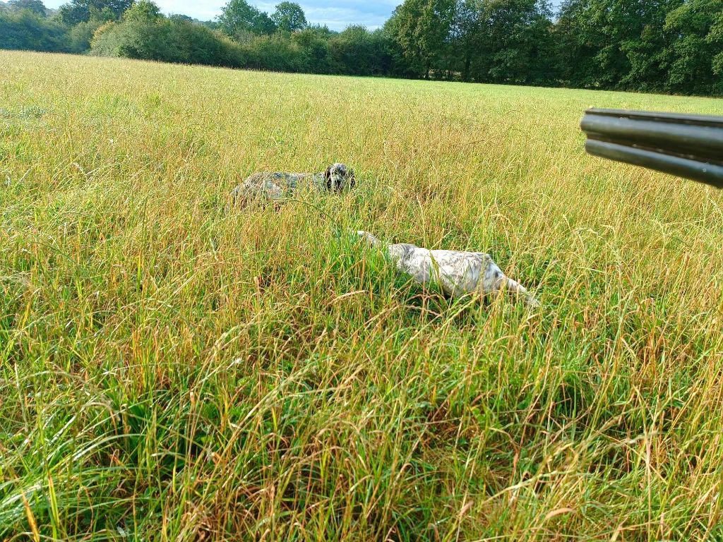 Des Berges De L'illet - ouverture de la chasse 2023/2024