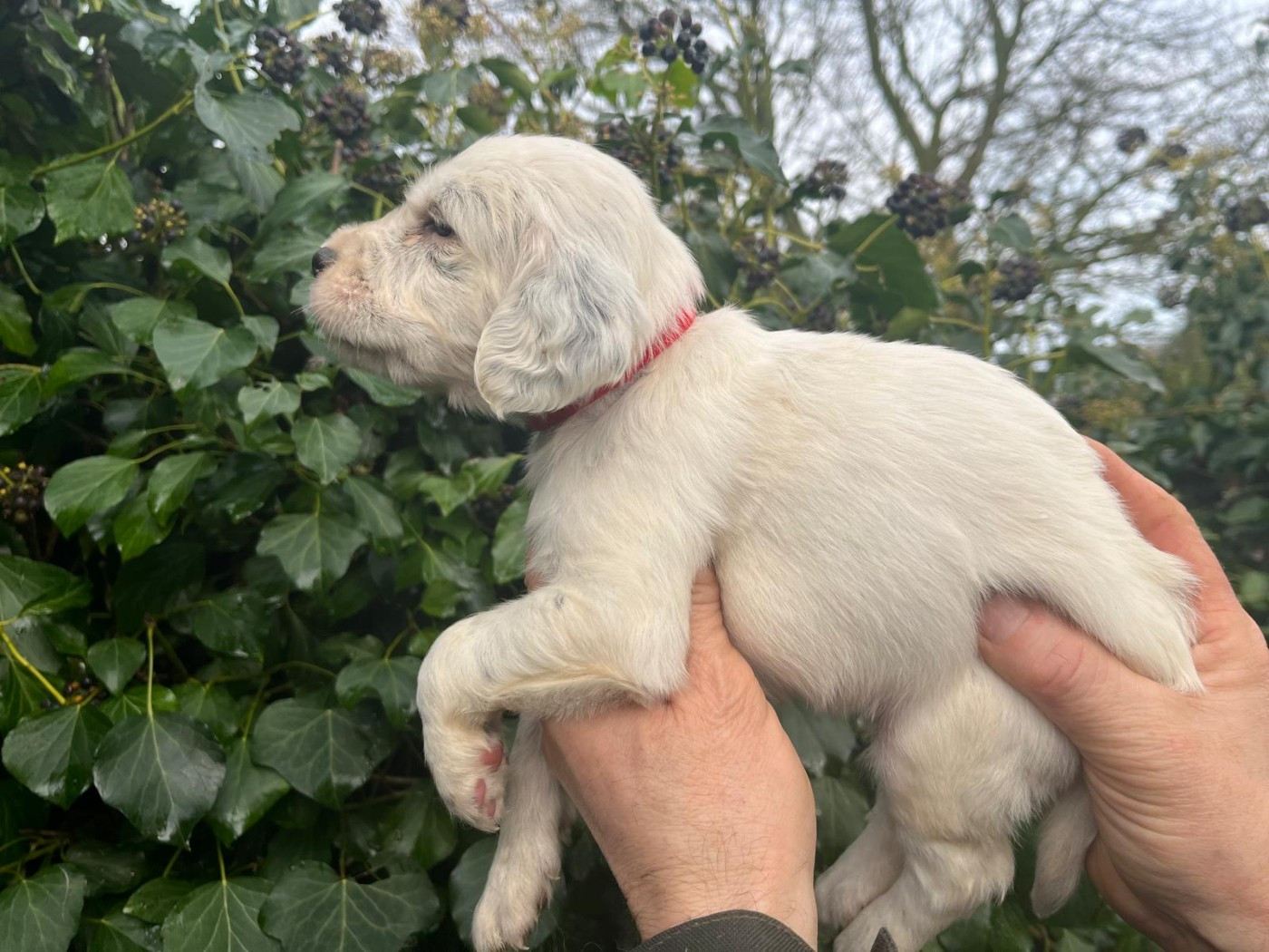 Berges de l'Illet 2026