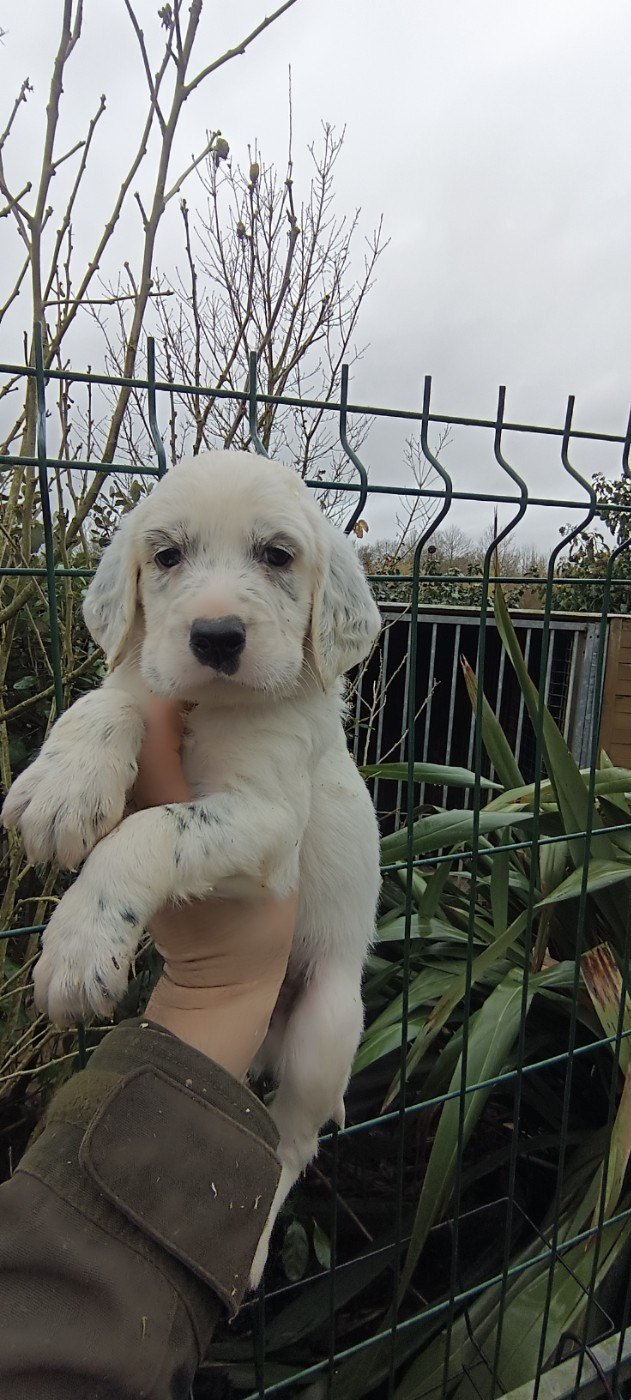 Des Berges De L'illet - Berges de l'Illet 2026