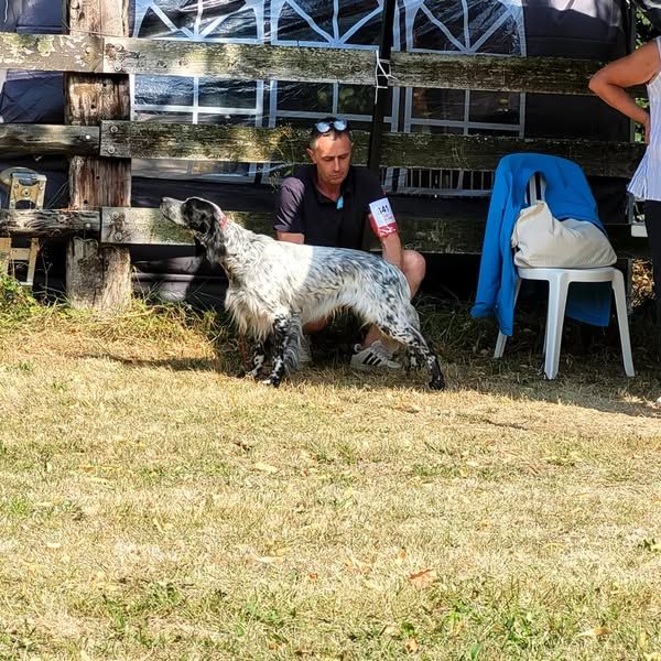 Des Berges De L'illet - Spéciale de race de Maltot (14)