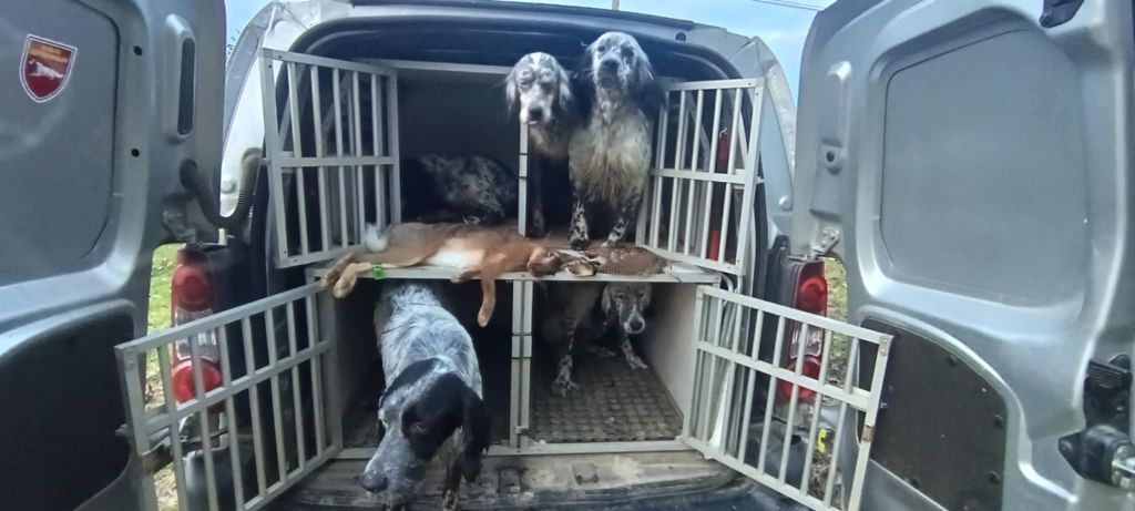 1ère bécasse de la saison