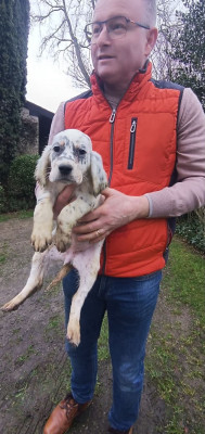 Babelle des Berges de l'Illet