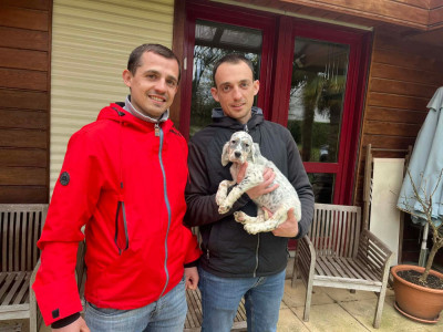 Bleuren des Berges de l'Illet