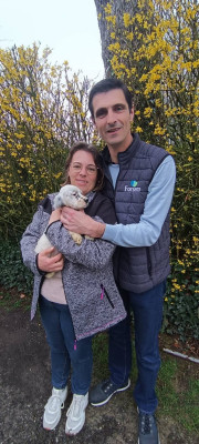 Bambou des Berges de l'Illet