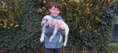 Brésil des Berges de l'Illet