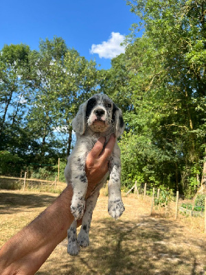 ABBY des Berges de l'Illet