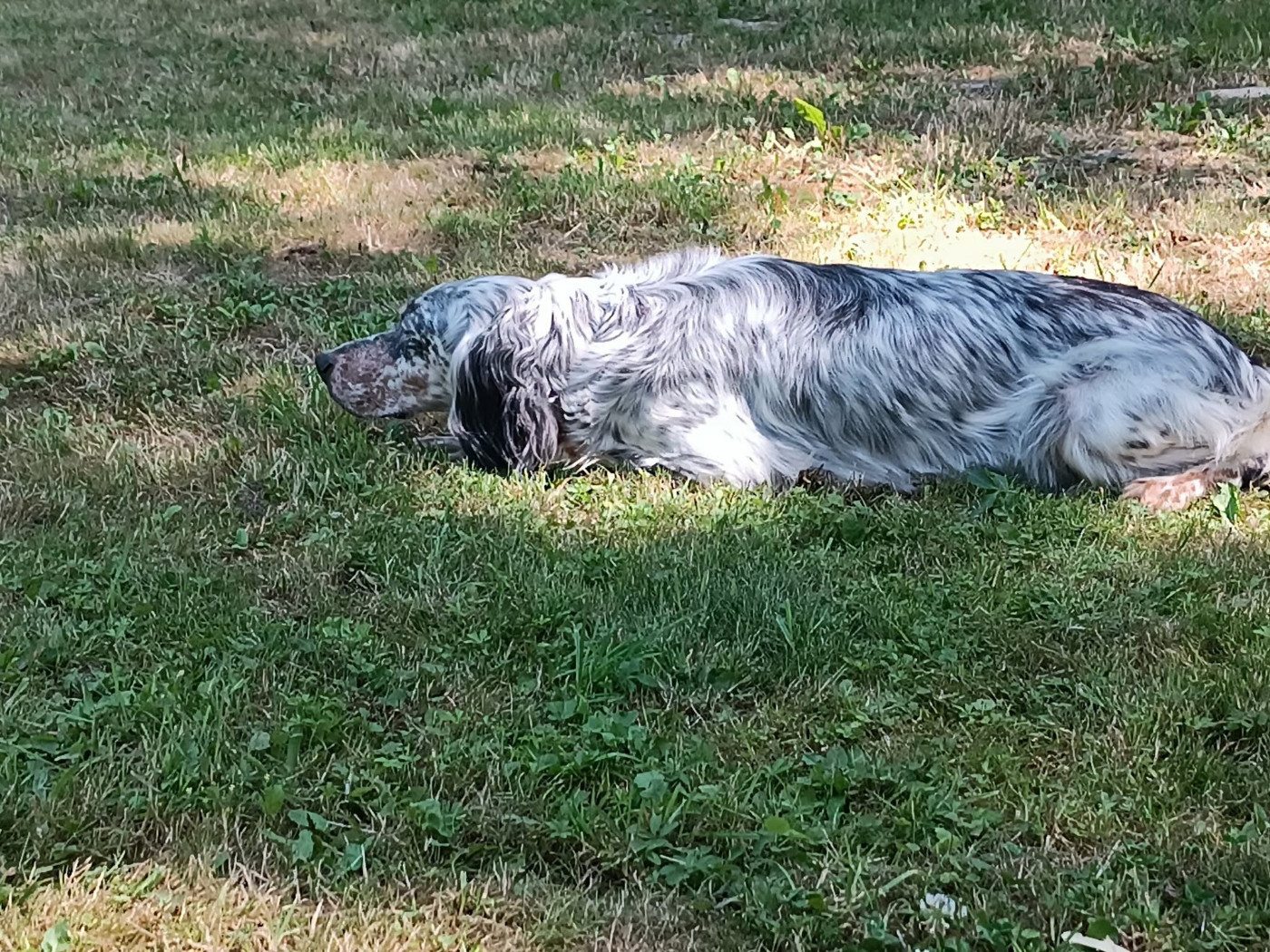 Shim&egrave;re x Sham des Miroirs de haute S&egrave;ve, saillie 08.11.2025